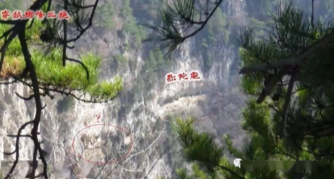 华莱士“快乐星期五”再翻红 独具生命力的IP是这样“炼”成的