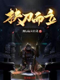 福莱纳找车轮