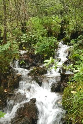 石油骚动