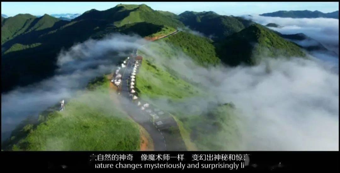 晶体管