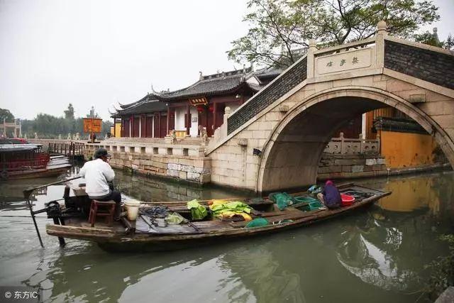 小僵尸射飞鸟